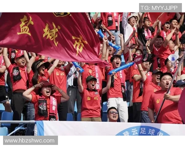 南京排球队整体表现分析：压制对手与失误的双重影响