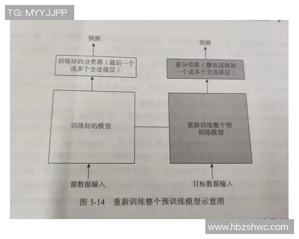 成都网球队快攻战术解析与训练策略探讨